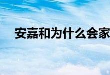 安嘉和為什么會家暴(安嘉和家暴的原因)