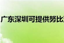 廣東深圳可提供努比亞手機(jī)維修服務(wù)地址在哪