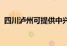 四川瀘州可提供中興手機(jī)維修服務(wù)地址在哪