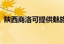 陜西商洛可提供魅族手機(jī)維修服務(wù)地址在哪
