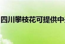 四川攀枝花可提供中興手機(jī)維修服務(wù)地址在哪