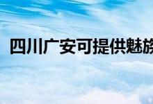 四川廣安可提供魅族手機(jī)維修服務(wù)地址在哪