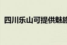 四川樂(lè)山可提供魅族手機(jī)維修服務(wù)地址在哪