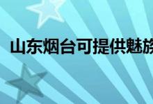 山東煙臺(tái)可提供魅族手機(jī)維修服務(wù)地址在哪