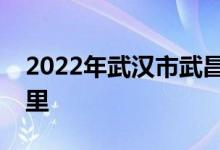 2022年武漢市武昌楚才實驗中學的地址在哪里