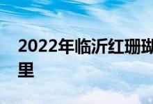2022年臨沂紅珊瑚幼兒鋼琴學校的地址在哪里
