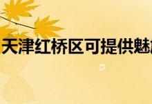 天津紅橋區(qū)可提供魅族手機(jī)維修服務(wù)地址在哪