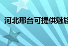 河北邢臺可提供魅族手機(jī)維修服務(wù)地址在哪