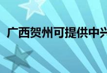 廣西賀州可提供中興手機維修服務(wù)地址在哪