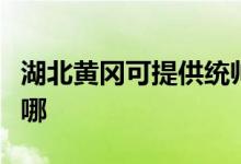 湖北黃岡可提供統(tǒng)帥平板電視維修服務地址在哪