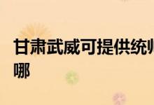 甘肅武威可提供統(tǒng)帥平板電視維修服務地址在哪