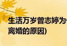 生活萬(wàn)歲曾志婷為什么離婚(生活萬(wàn)歲曾志婷離婚的原因)