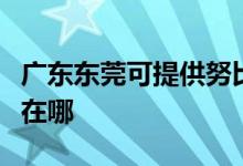 廣東東莞可提供努比亞平板電視維修服務地址在哪