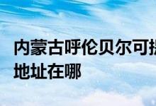內(nèi)蒙古呼倫貝爾可提供統(tǒng)帥平板電視維修服務地址在哪