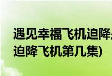 遇見幸福飛機(jī)迫降是哪一集(遇見幸福司問(wèn)渠迫降飛機(jī)第幾集)
