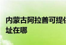 內(nèi)蒙古阿拉善可提供統(tǒng)帥平板電視維修服務地址在哪