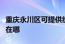 重慶永川區(qū)可提供統(tǒng)帥平板電視維修服務地址在哪