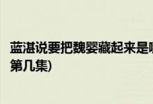 藍(lán)湛說(shuō)要把魏嬰藏起來(lái)是哪一集(陳情令藍(lán)湛說(shuō)要藏魏無(wú)羨是第幾集)