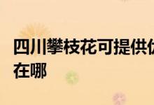 四川攀枝花可提供優(yōu)派平板電視維修服務(wù)地址在哪