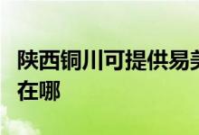 陜西銅川可提供易美遜平板電視維修服務地址在哪