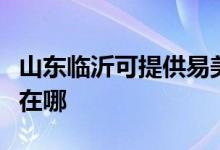山東臨沂可提供易美遜平板電視維修服務地址在哪