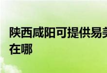 陜西咸陽可提供易美遜平板電視維修服務地址在哪