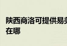 陜西商洛可提供易美遜平板電視維修服務地址在哪