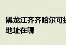 黑龍江齊齊哈爾可提供先鋒平板電視維修服務地址在哪