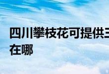 四川攀枝花可提供三洋平板電視維修服務地址在哪
