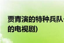 賈青演的特種兵隊(duì)長(zhǎng)是什么電視劇(賈青主演的電視劇)