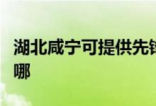 湖北咸寧可提供先鋒平板電視維修服務地址在哪