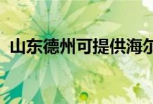 山東德州可提供海爾空調(diào)維修服務地址在哪