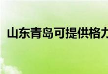 山東青島可提供格力空調(diào)維修服務地址在哪