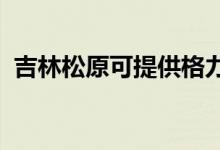 吉林松原可提供格力空調(diào)維修服務地址在哪