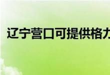 遼寧營口可提供格力空調(diào)維修服務地址在哪