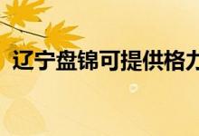 遼寧盤錦可提供格力空調(diào)維修服務地址在哪