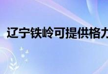 遼寧鐵嶺可提供格力空調(diào)維修服務地址在哪
