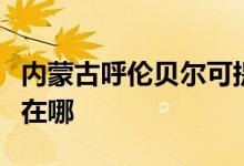 內蒙古呼倫貝爾可提供大金空調維修服務地址在哪