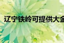 遼寧鐵嶺可提供大金空調維修服務地址在哪