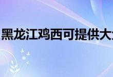 黑龍江雞西可提供大金空調維修服務地址在哪
