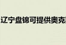 遼寧盤(pán)錦可提供奧克斯空調(diào)維修服務(wù)地址在哪
