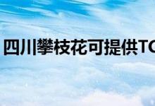 四川攀枝花可提供TCL空調(diào)維修服務地址在哪