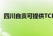 四川自貢可提供TCL空調(diào)維修服務地址在哪