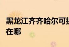 黑龍江齊齊哈爾可提供志高空調(diào)維修服務(wù)地址在哪