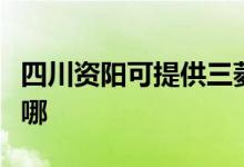 四川資陽(yáng)可提供三菱電機(jī)空調(diào)維修服務(wù)地址在哪