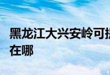 黑龍江大興安嶺可提供科龍空調(diào)維修服務地址在哪