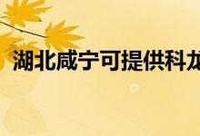 湖北咸寧可提供科龍空調(diào)維修服務地址在哪