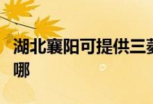 湖北襄陽可提供三菱重工空調(diào)維修服務地址在哪