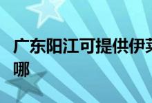 廣東陽(yáng)江可提供伊萊克斯空調(diào)維修服務(wù)地址在哪