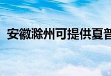 安徽滁州可提供夏普空調(diào)維修服務地址在哪